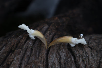 Porcupine Claw Stud Earrings - .925 Silver