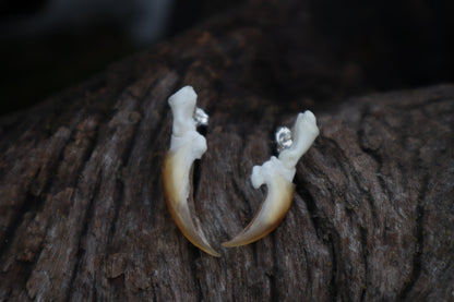 Porcupine Claw Stud Earrings - .925 Silver