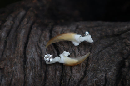 Porcupine Claw Stud Earrings - .925 Silver