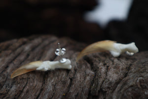 Porcupine Claw Stud Earrings - .925 Silver