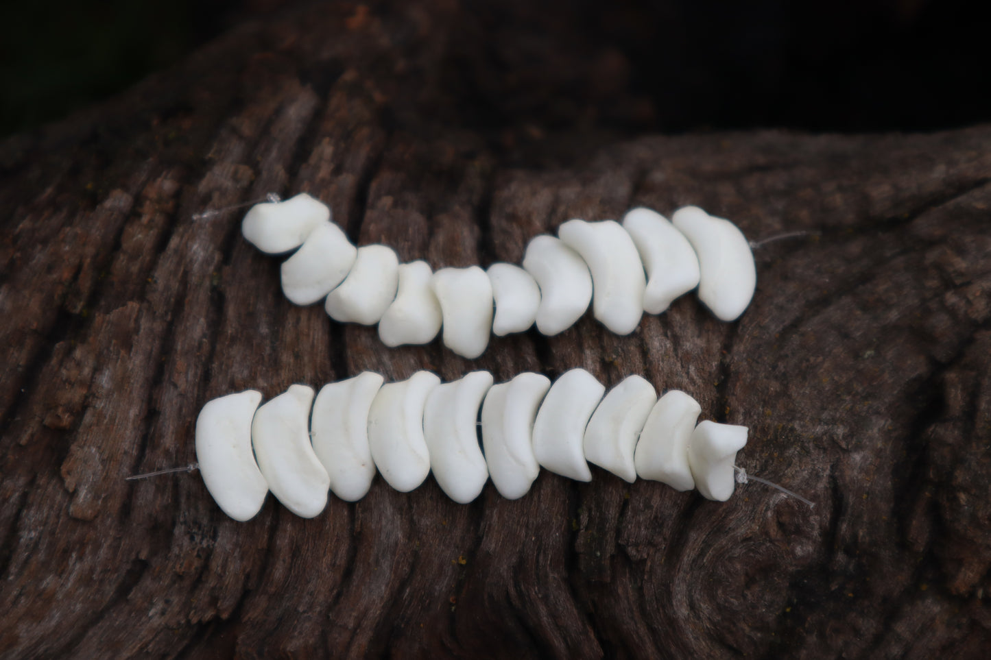 Gray Wolf Bone Beads