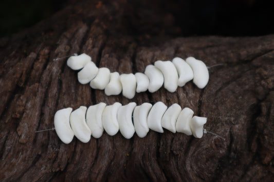 Gray Wolf Bone Beads