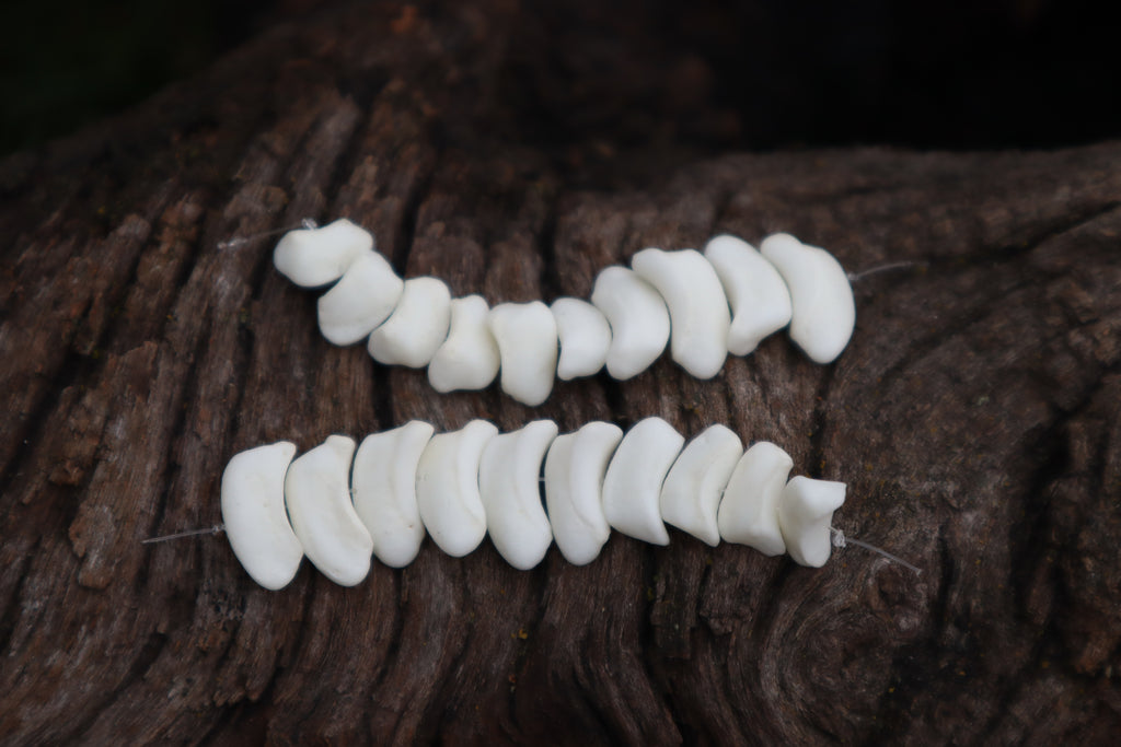 Gray Wolf Bone Beads