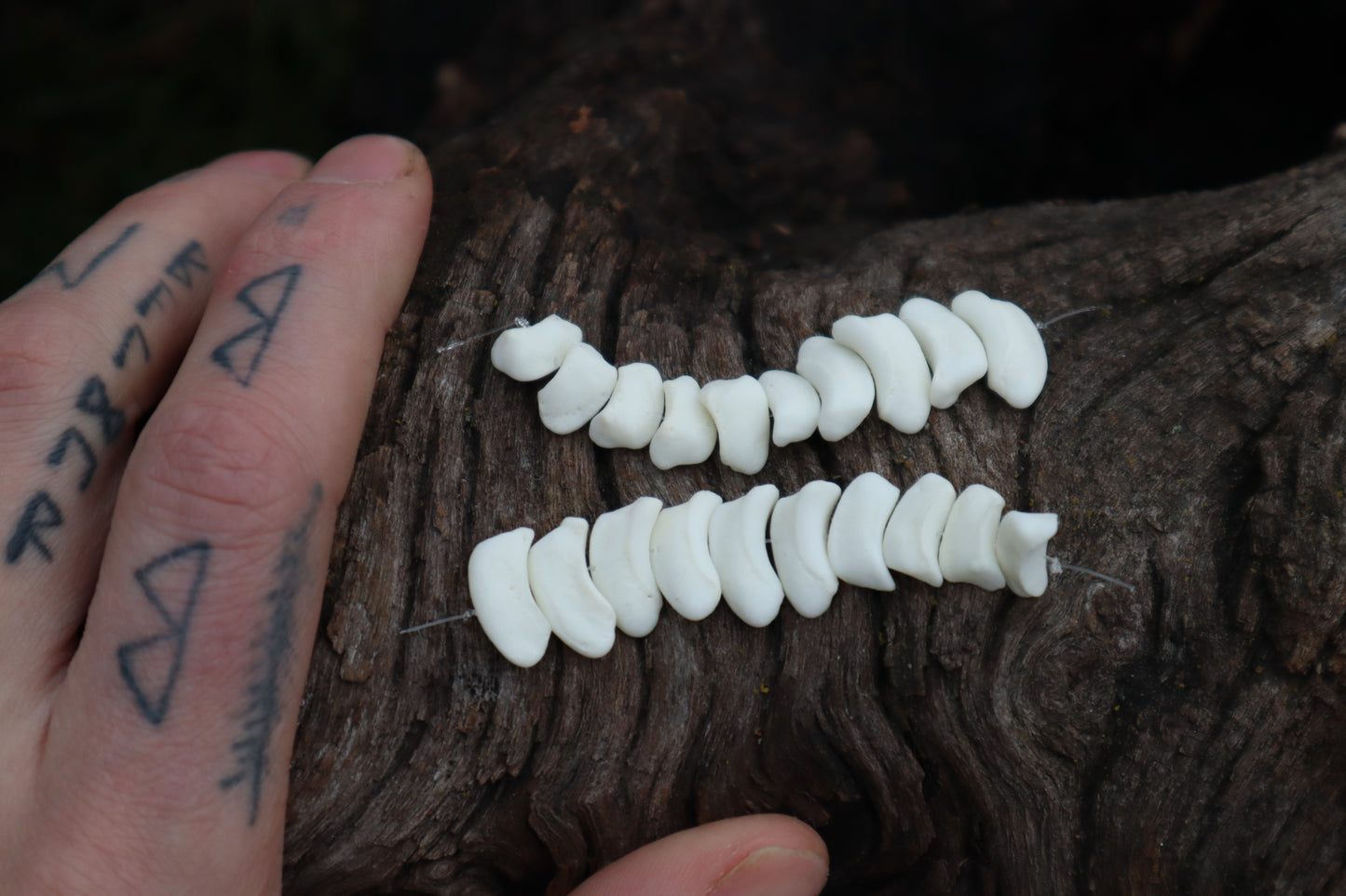 Gray Wolf Bone Beads