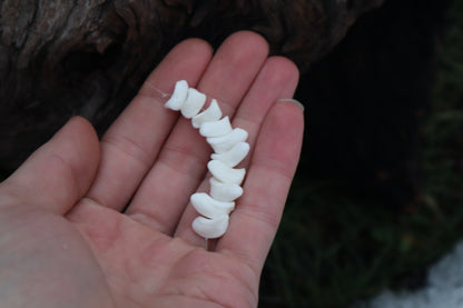 Gray Wolf Bone Beads
