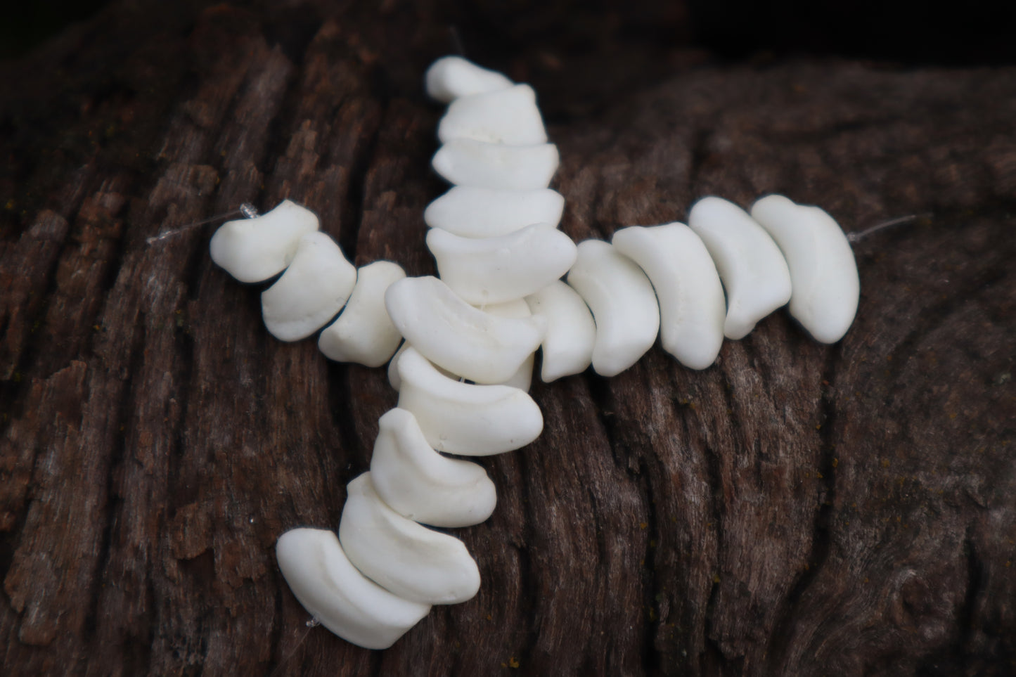 Gray Wolf Bone Beads