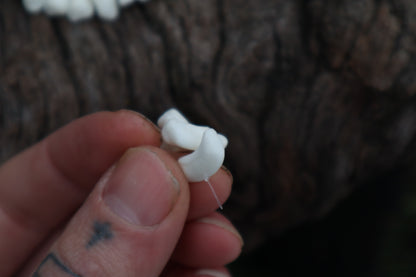 Gray Wolf Bone Beads