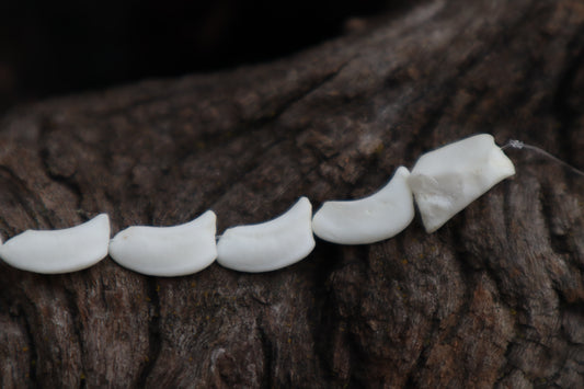 Gray Wolf Bone Beads