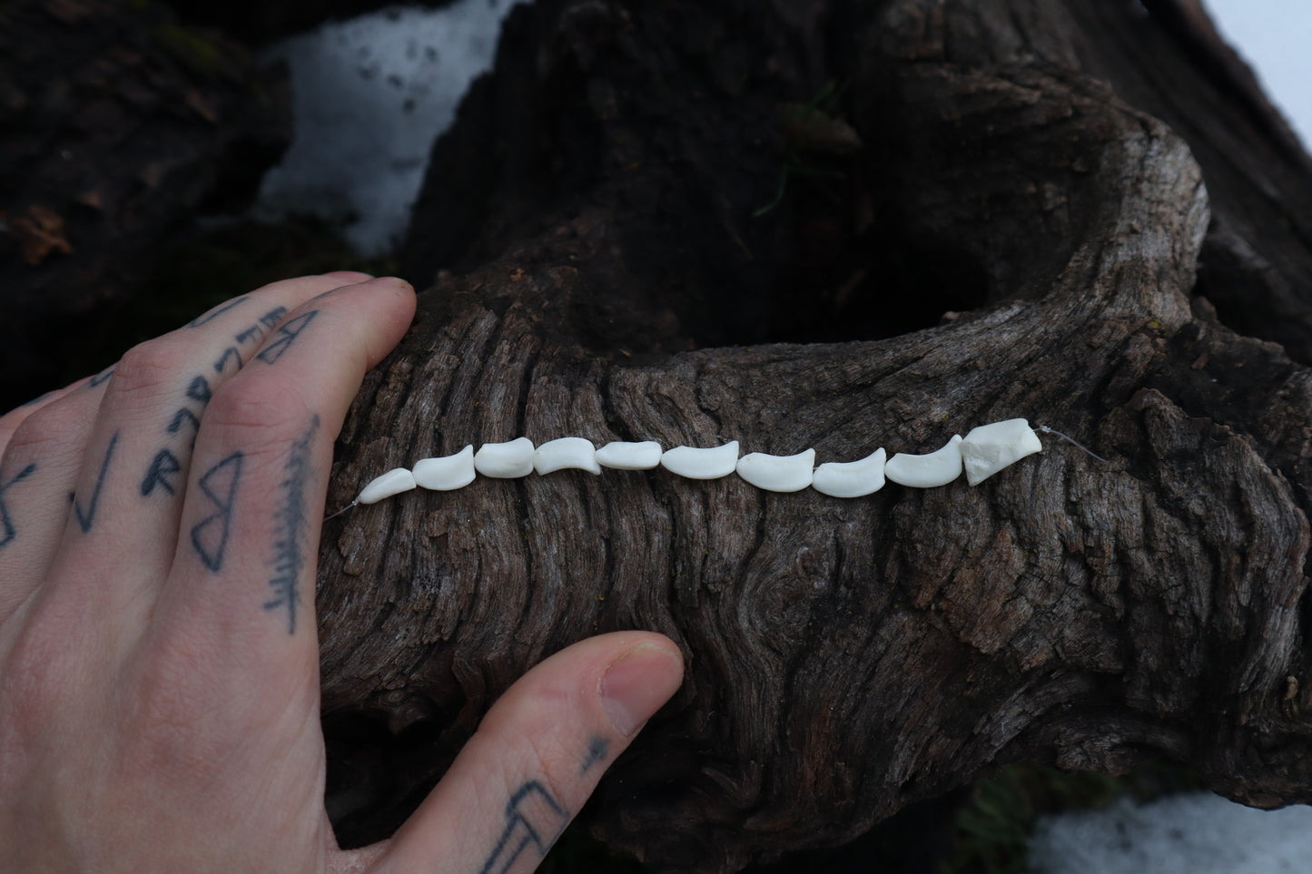 Gray Wolf Bone Beads