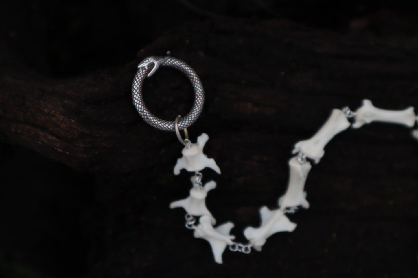 Fluid Red Fox Tail Articulation with Ouroboros Ring