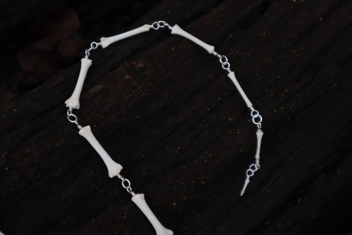 Fluid Red Fox Tail Articulation with Ouroboros Ring