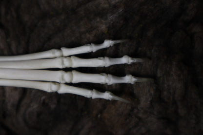 Kitten Paw Articulation