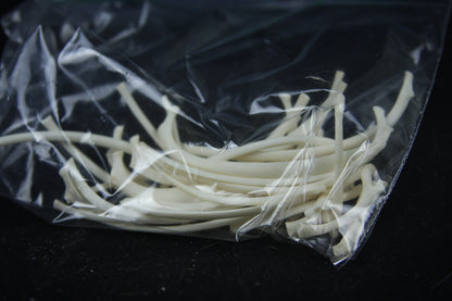 Disarticulated Red Fox Skeleton
