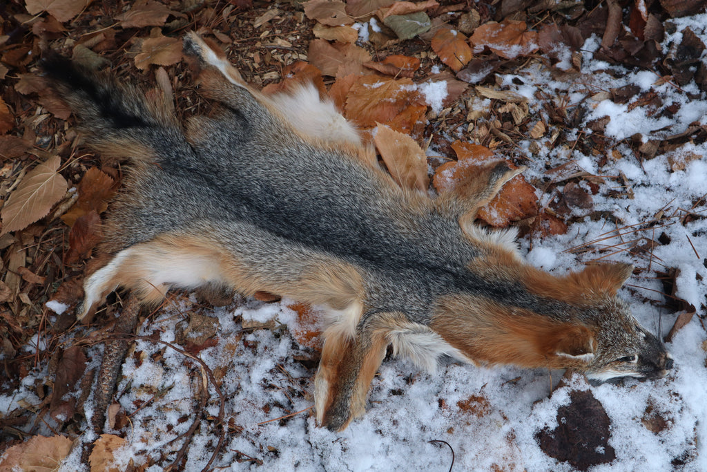Reserved for Devyn - Gray Fox Pelt - Altar Cut