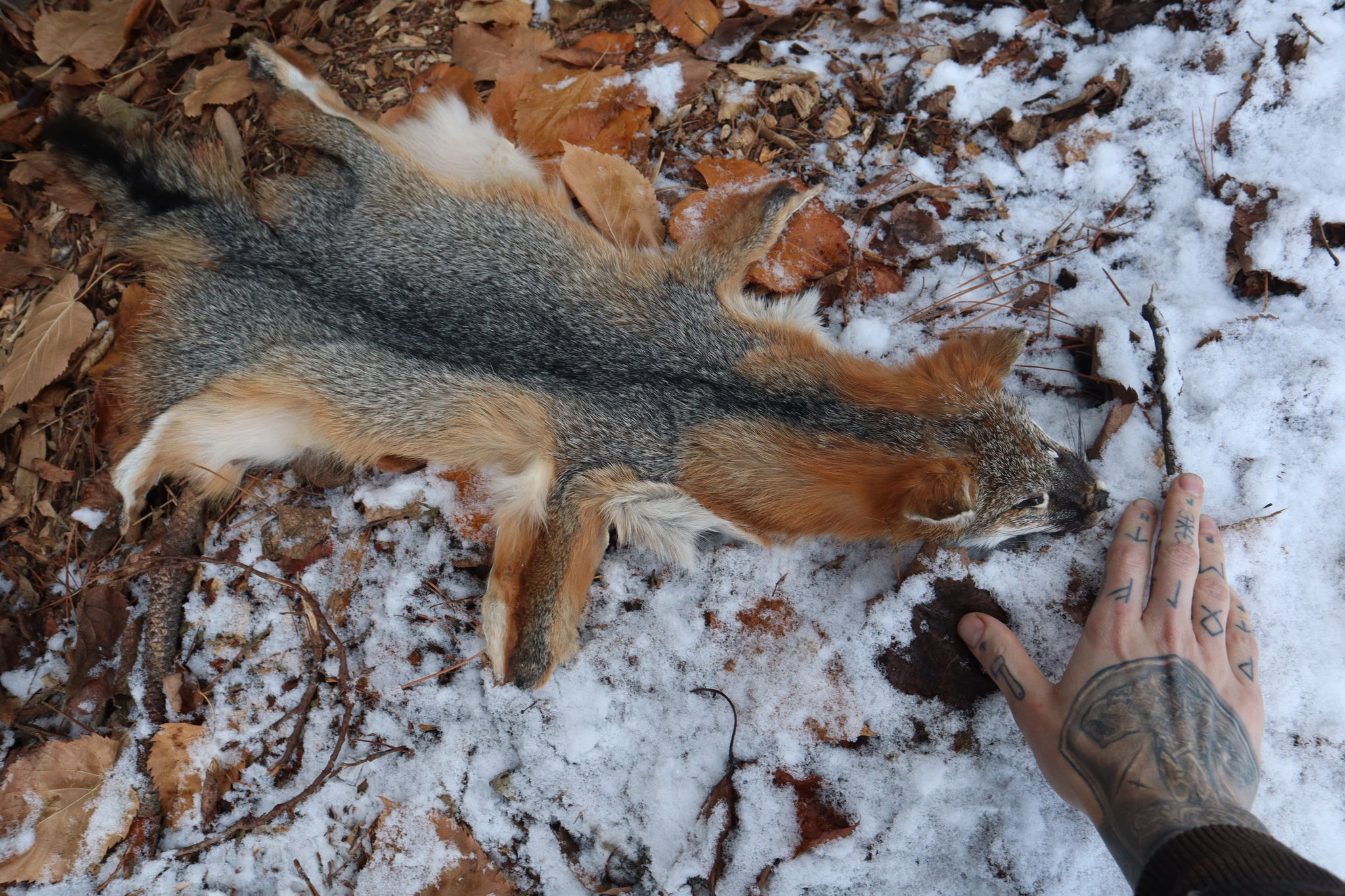 Reserved for Devyn - Gray Fox Pelt - Altar Cut