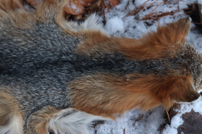Reserved for Devyn - Gray Fox Pelt - Altar Cut