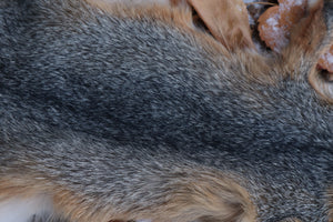 Reserved for Devyn - Gray Fox Pelt - Altar Cut