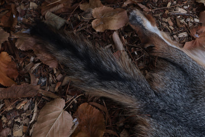 Reserved for Devyn - Gray Fox Pelt - Altar Cut