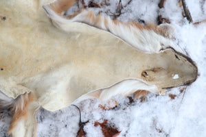 Reserved for Devyn - Gray Fox Pelt - Altar Cut