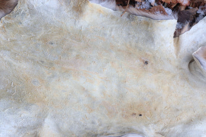Reserved for Devyn - Gray Fox Pelt - Altar Cut