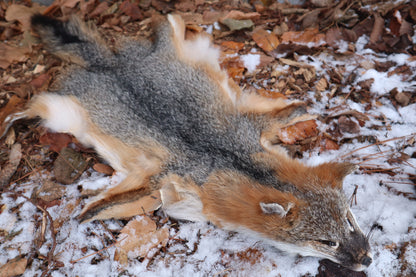 Reserved for Devyn - Gray Fox Pelt - Altar Cut