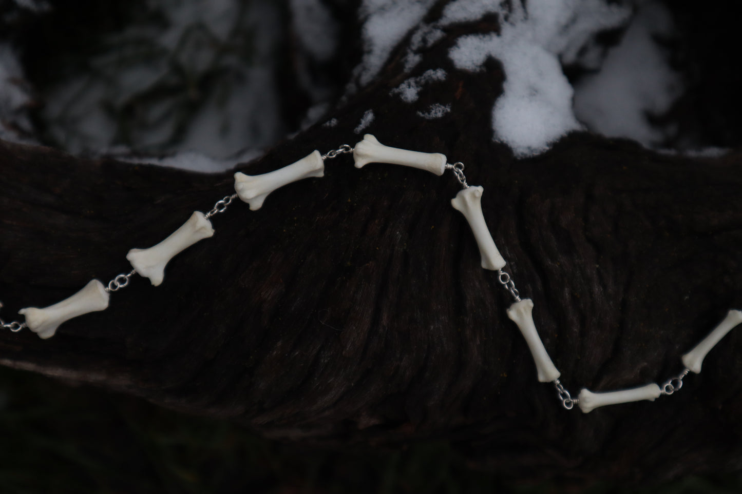 Fluid Coyote Tail Articulation with Ouroboros Ring