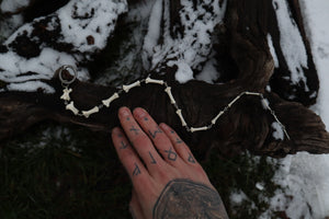 Fluid Coyote Tail Articulation with Ouroboros Ring