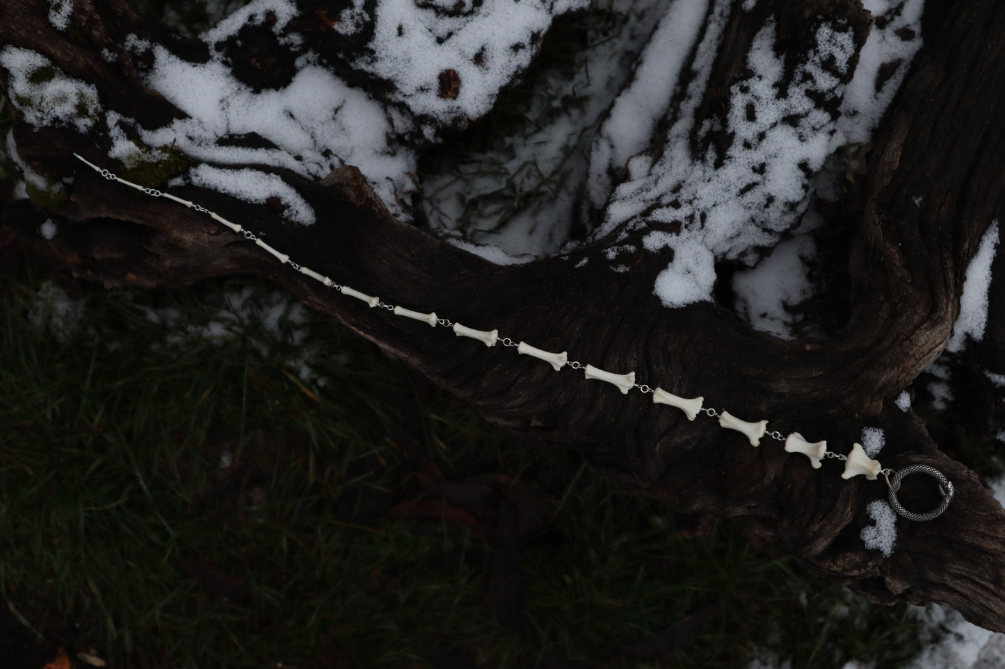 Fluid Coyote Tail Articulation with Ouroboros Ring