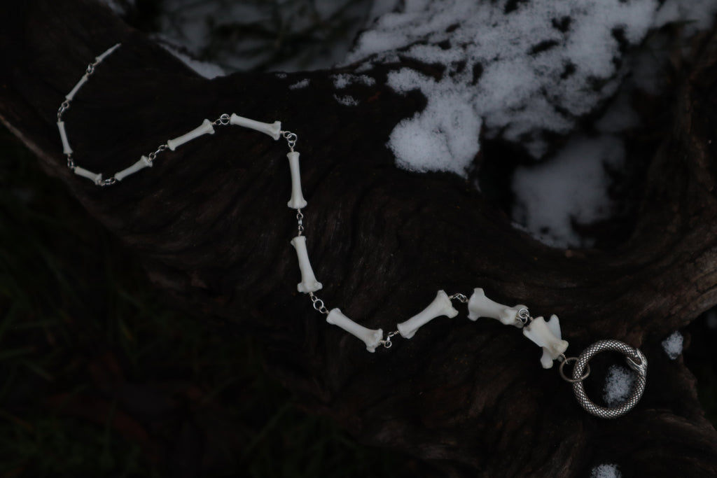 Fluid Raccoon Tail Articulation with Ouroboros Ring