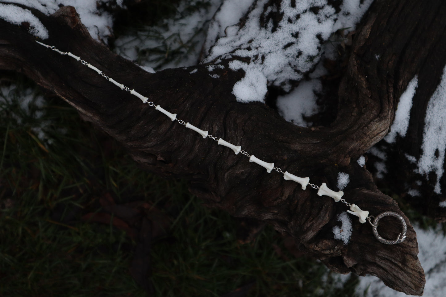 Fluid Raccoon Tail Articulation with Ouroboros Ring