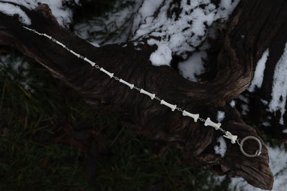Fluid Raccoon Tail Articulation with Ouroboros Ring