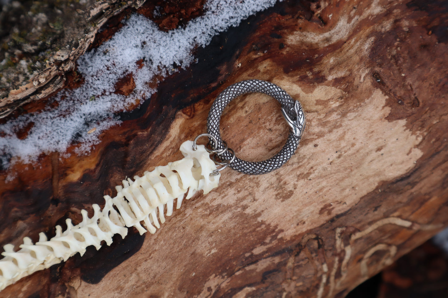 Reserved for Maya - Muskrat Spinal Column Articulation