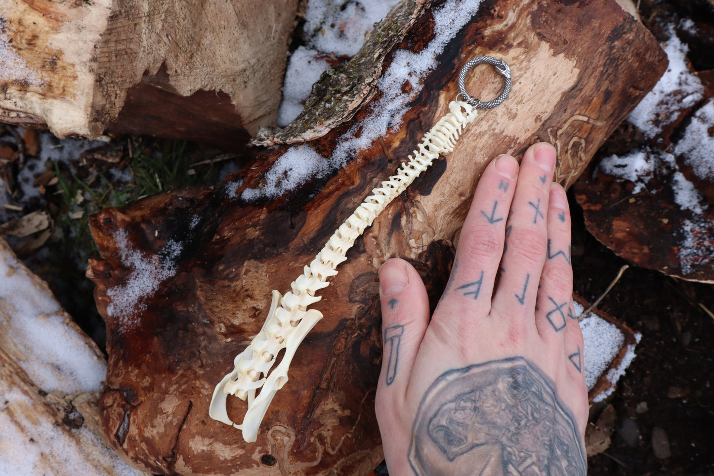 Reserved for Maya - Muskrat Spinal Column Articulation