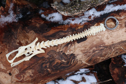Reserved for Maya - Muskrat Spinal Column Articulation