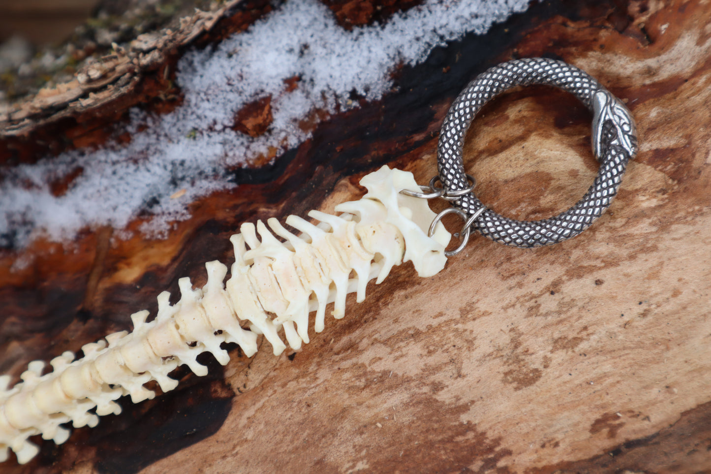 Reserved for Maya - Muskrat Spinal Column Articulation