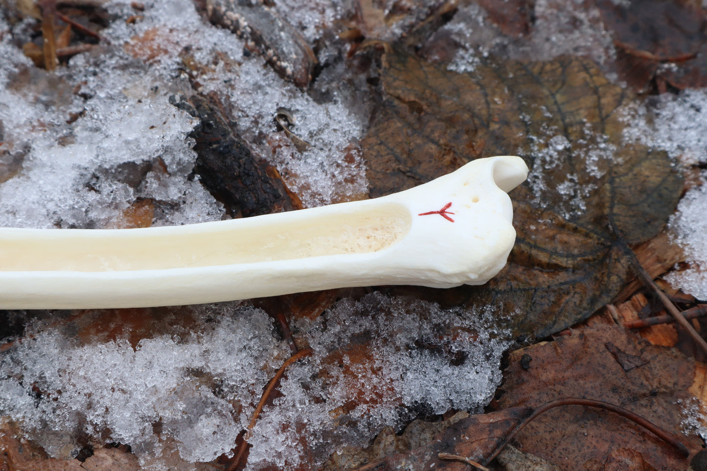 Gray Wolf Tibia Incense Burner