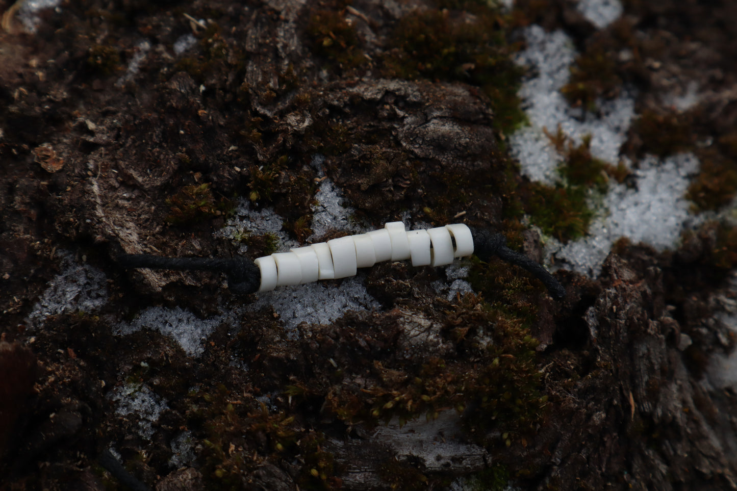 Pine Marten Bone Beads