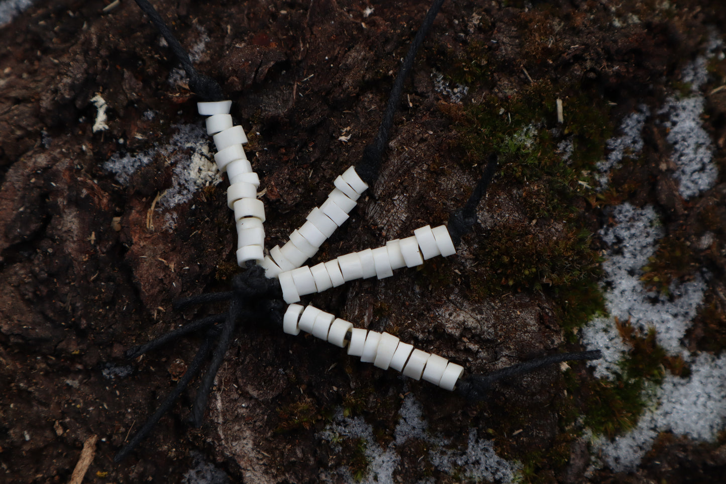 Pine Marten Bone Beads