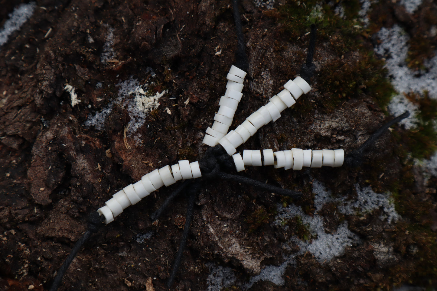 Pine Marten Bone Beads