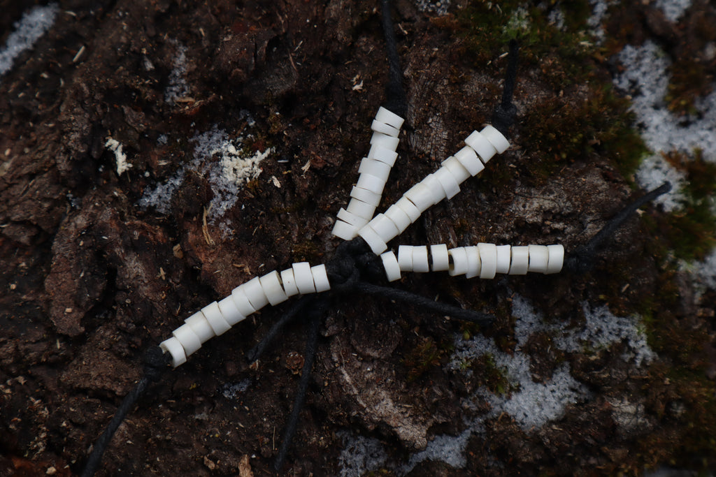 Pine Marten Bone Beads