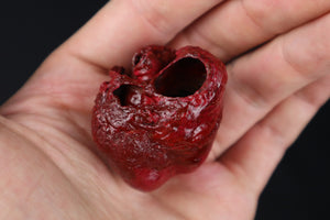 Dry Preserved Bobcat Heart