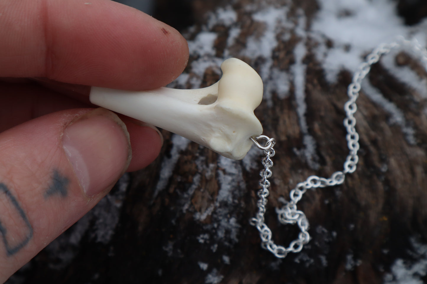 Red Fox Humerus Pendulum with Ouroboros Ring