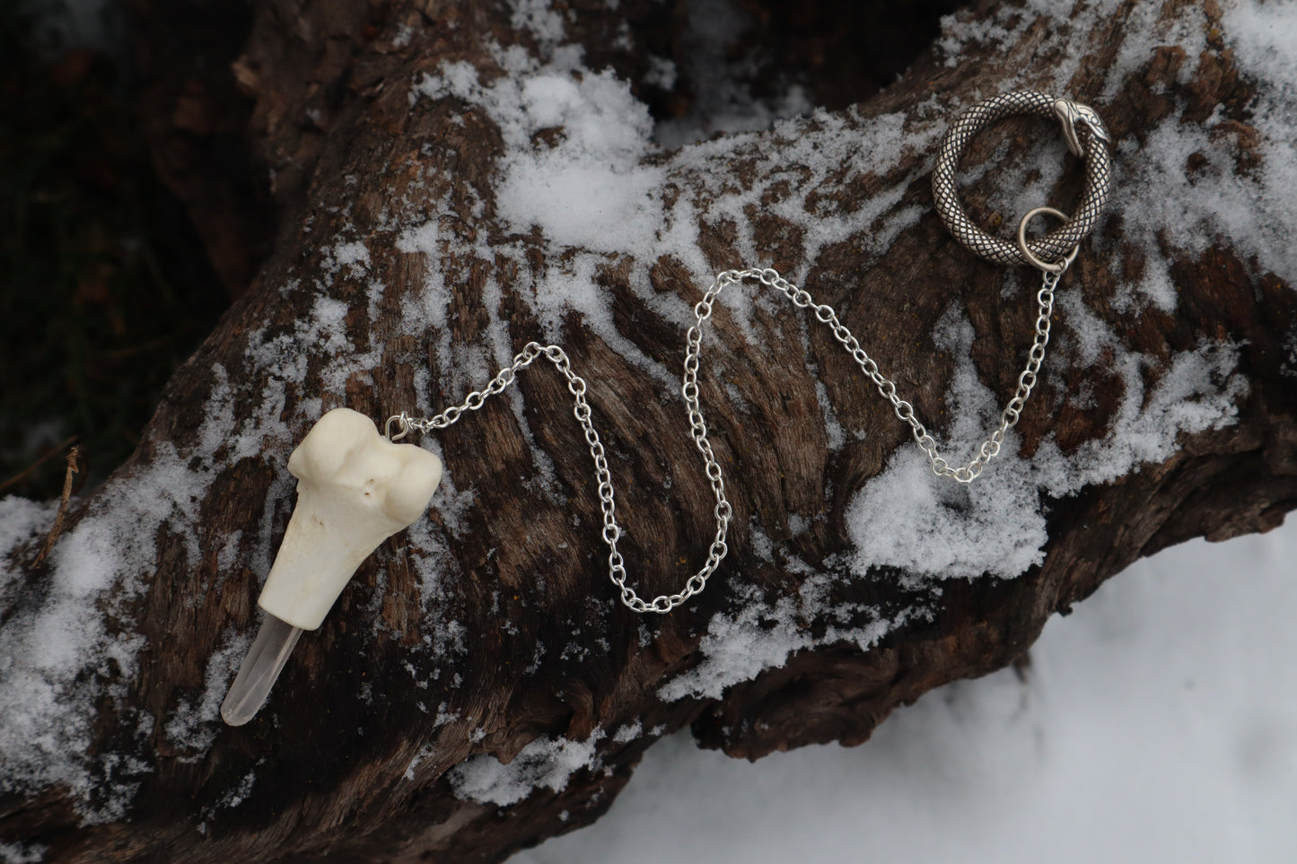 Red Fox Femur Pendulum with Ouroboros Ring