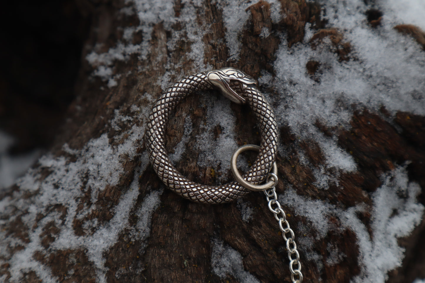 Red Fox Femur Pendulum with Ouroboros Ring