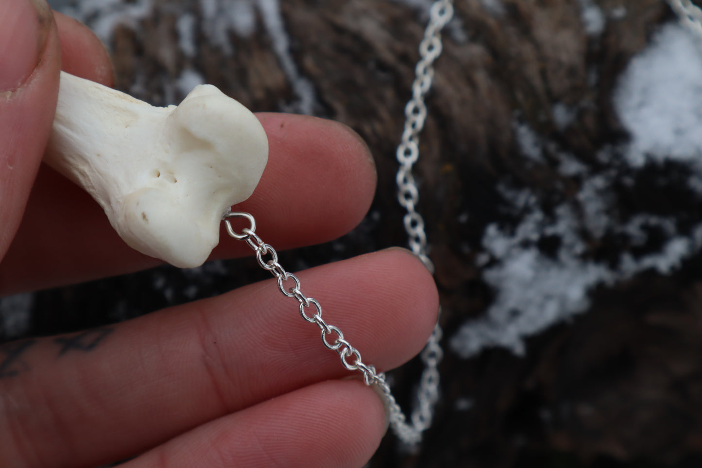 Red Fox Femur Pendulum with Ouroboros Ring