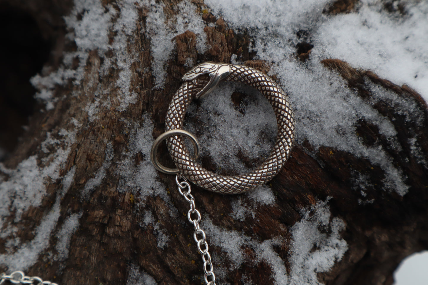 Red Fox Femur Pendulum with Ouroboros Ring