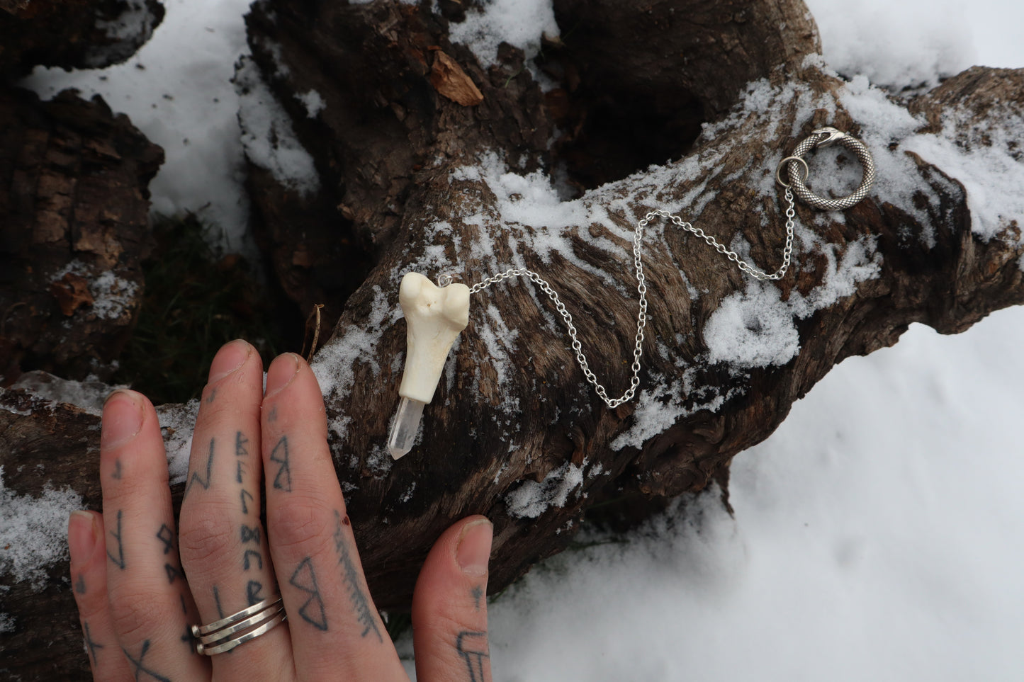Red Fox Femur Pendulum with Ouroboros Ring