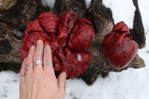 Reserved for Brandon - Dry Preserved Gray Wolf Heart and Lungs