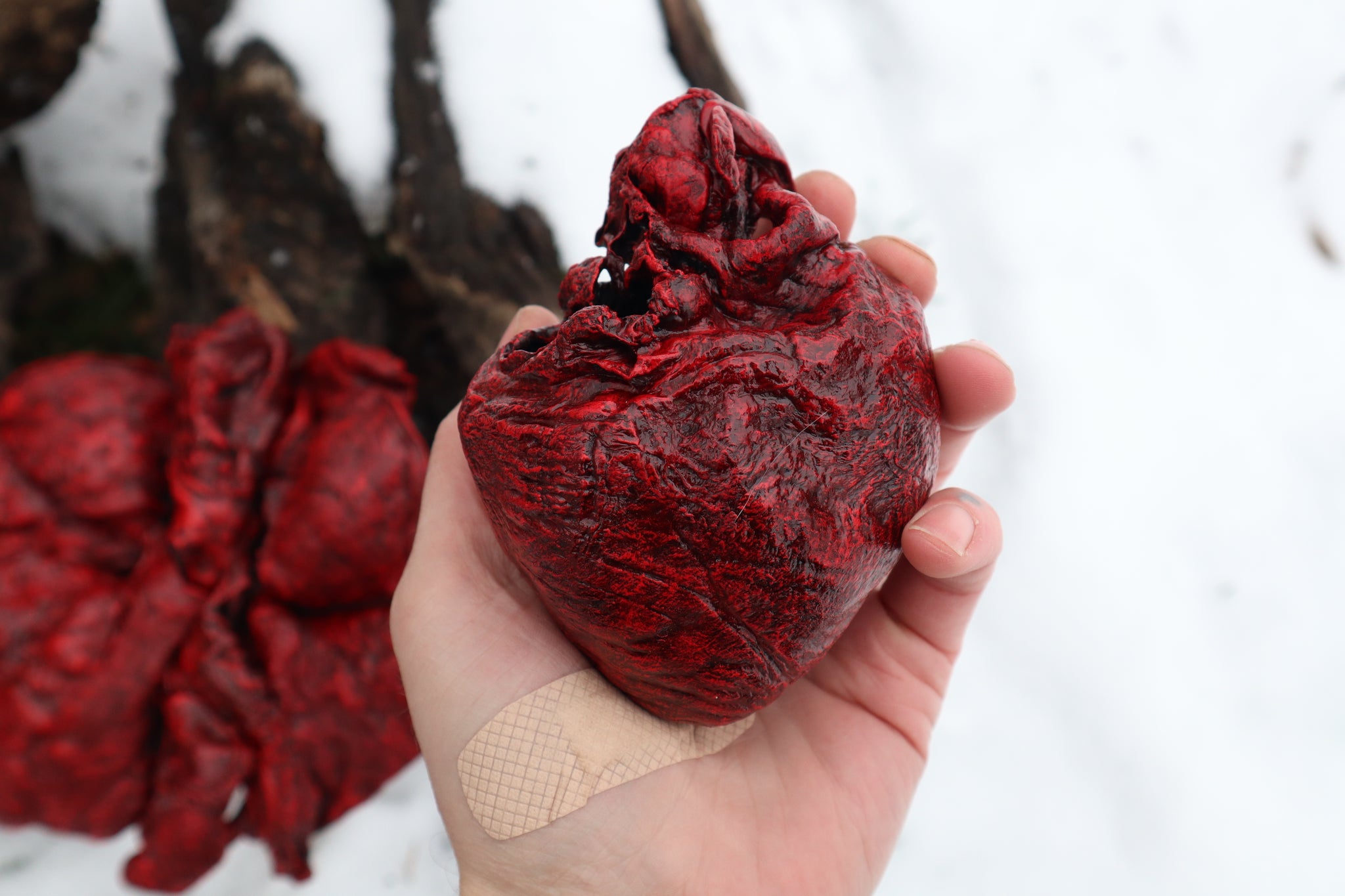 Reserved for Brandon - Dry Preserved Gray Wolf Heart and Lungs