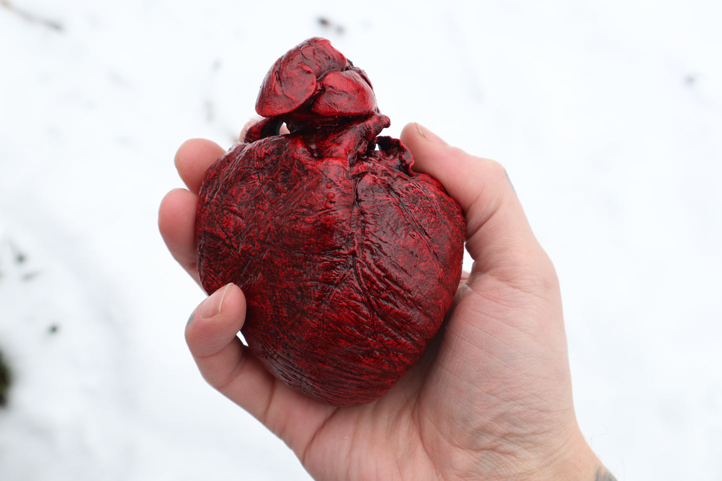 Reserved for Brandon - Dry Preserved Gray Wolf Heart and Lungs